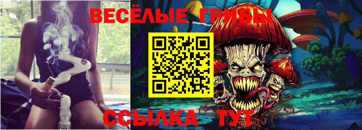 Галлюциногенные грибы прущие грибы Десногорск