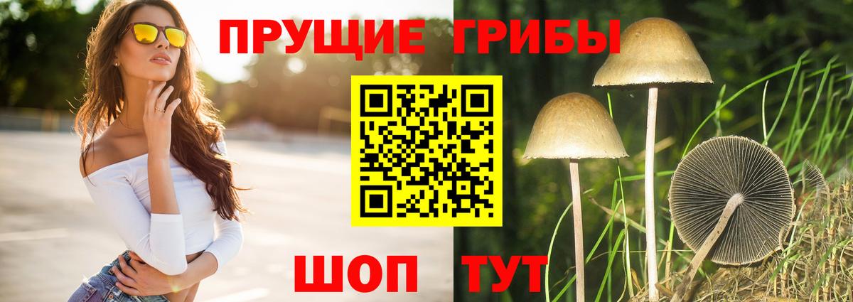Галлюциногенные грибы Cubensis  Вход с VPN  Десногорск 